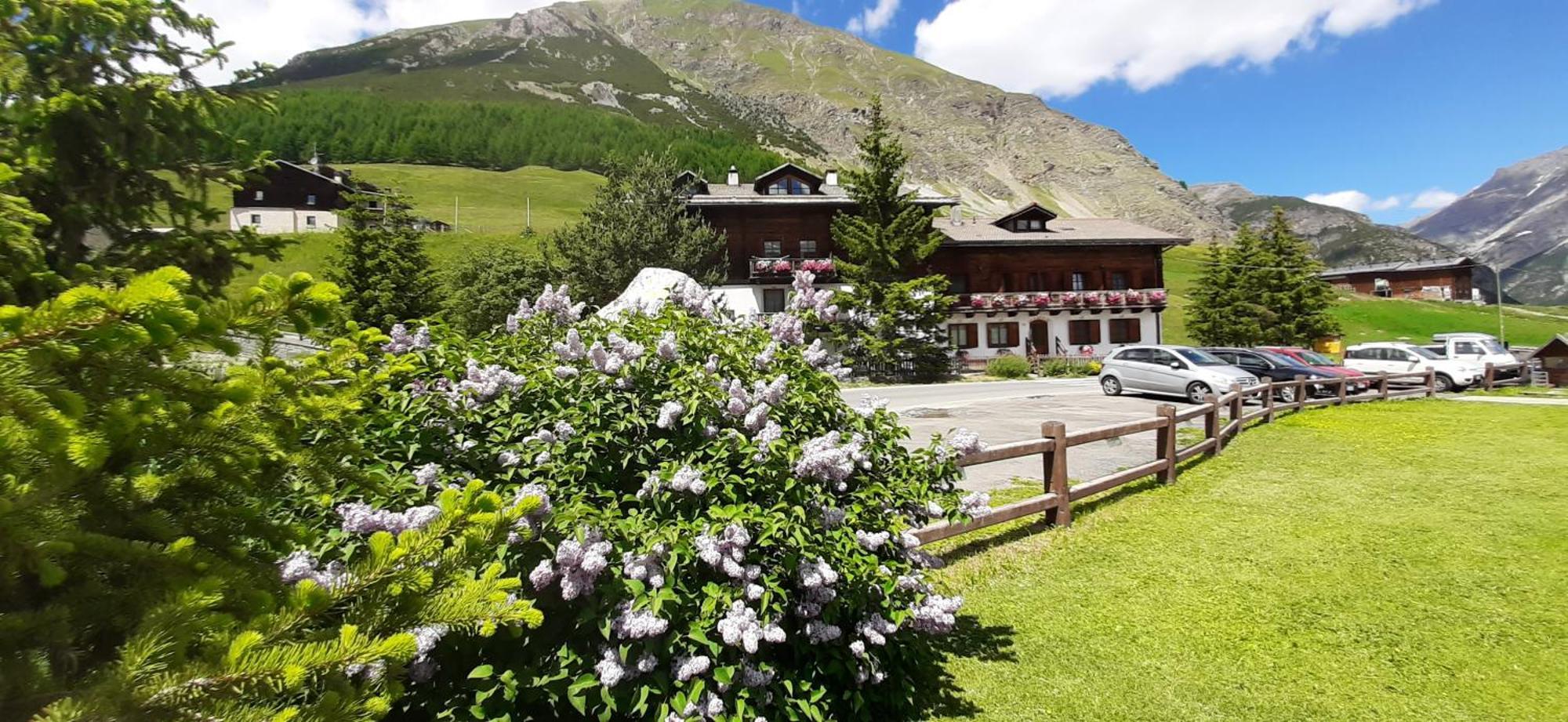 Chalet Del Sole Per Gruppi Livigno Exteriör bild
